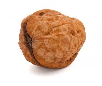 Greek nut on the white background
