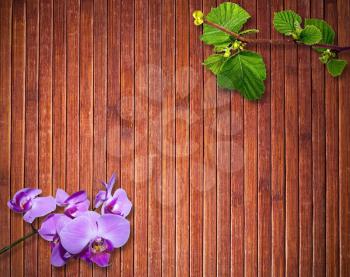 Background texture of brown  wooden floor with orchid flower