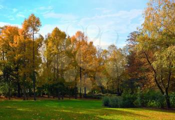 Autumn park with colorful trees