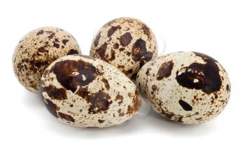 Four quail eggs on the white