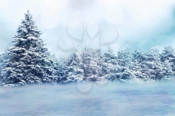 Christmas winter nature background