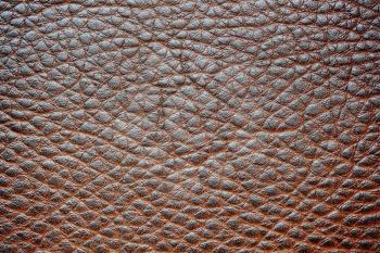 High detailed leather surface