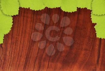 Wood  surface with group of leaves