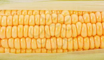 Tasty corn background