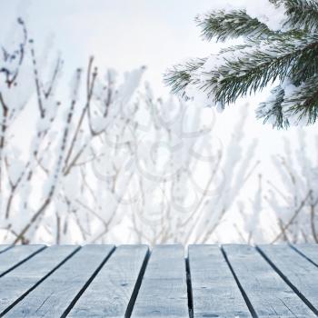 Forest background and wooden walkway