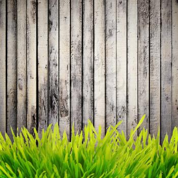 Green growing grass near wooden wall