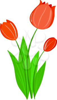 Royalty Free Photo of Tulips