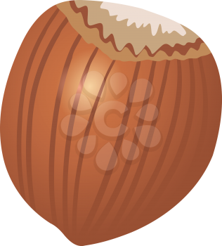 Royalty Free Clipart Image of a Hazelnut