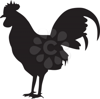 silhouette of cock