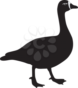 silhouette of goose