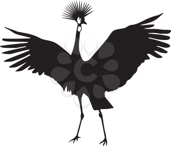 silhouette of African crowned crane