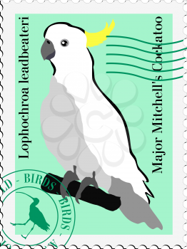 Illustration of macaw
