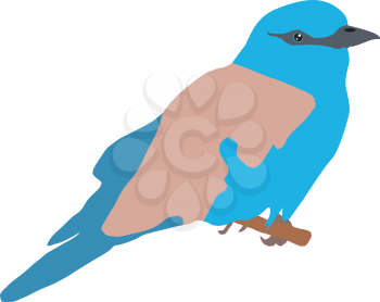 Illustration of roller bird