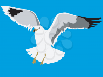 Illustration of seagull