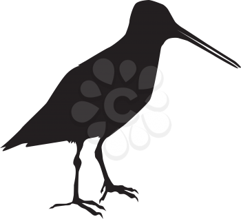 silhouette of snipe