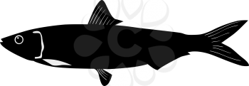 silhouette of the sardine on white background