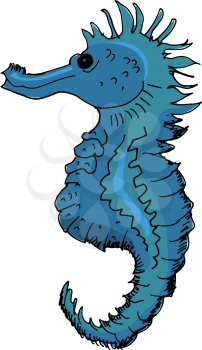 hand drawn illustration of the seahorse on white
