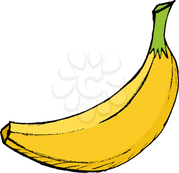 Hand drawn, vector, cartoon illustration of banana