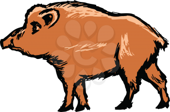 Royalty Free Clipart Image of a Wild Boar