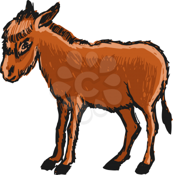 Royalty Free Clipart Image of a Donkey