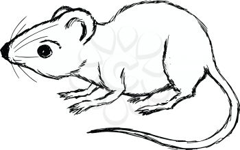 hand drawn, cartoon, sketch illustration of house mouse