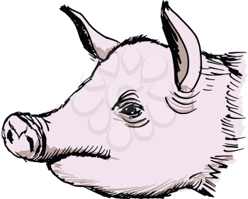 hand drawn, sketch, cartoon illustration of pig