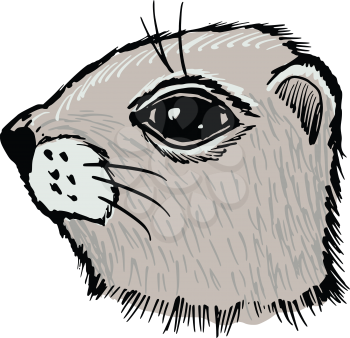 hand drawn, sketch, cartoon illustration of gopher