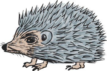 hand drawn, sketch, cartoon illustration of hedgehog