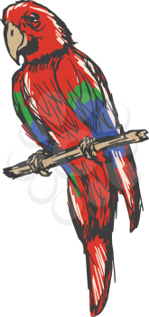 hand drawn, sketch, cartoon illustration of parrot