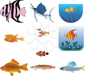 crucian,aquarium fish,Illustration of trunkfish