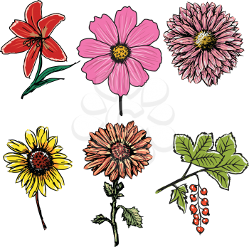 set of sketch illustration of flowers
