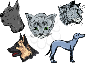 set of illustrations of pets