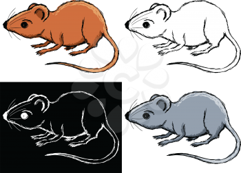 Editable vector illustrations in variations. House mouse