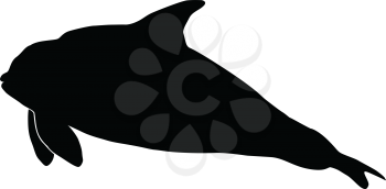 silhouette of orca