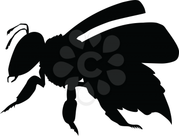 silhouette of bee