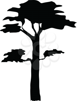 silhouette of pine