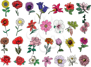 set of hand draw, sketch illustrations of flowers