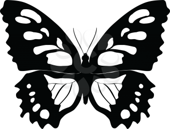 outline illustration of butterfly