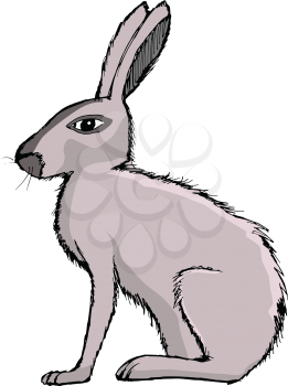 rabbit, illustration of farm animal, symbol of Easter, pet