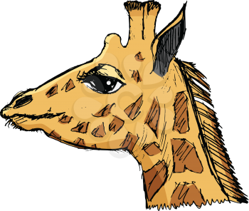 giraffe, illustration of wildlife, zoo, wildlife, animal of Africa, safari