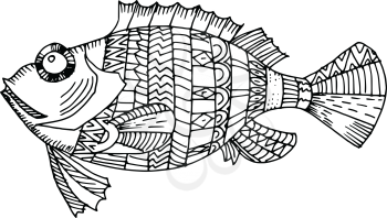 Cartoon, hand drawn, vector doodle illustration of fish. Motive of sea life
