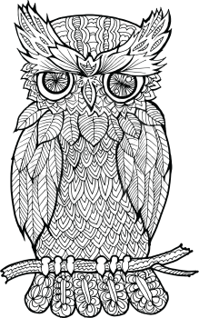 Cartoon, hand drawn, vector doodle illustration of owl. Motive of wildlife