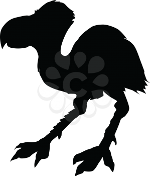 silhouette of prehistoric bird