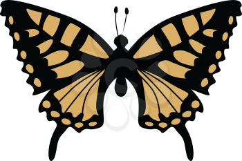 silhouette of swallowtail butterfly