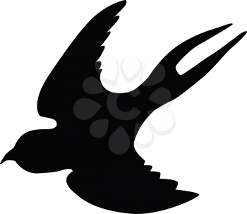silhouette of swallow
