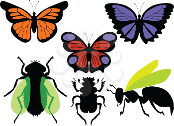 vector illustrations of insects