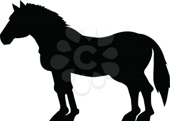 silhouette of big horse