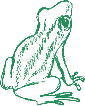 vector, sketch, hand drawn illustration of tree frog