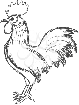 vector, sketch, hand drawn illustration of cockerel
