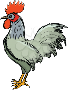 vector, coloured, sketch, hand drawn image of cockerel